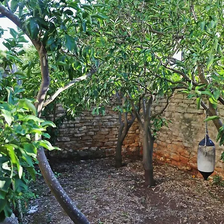 Pensión Nasa Beautiful Hause For Vecation Lumbarda