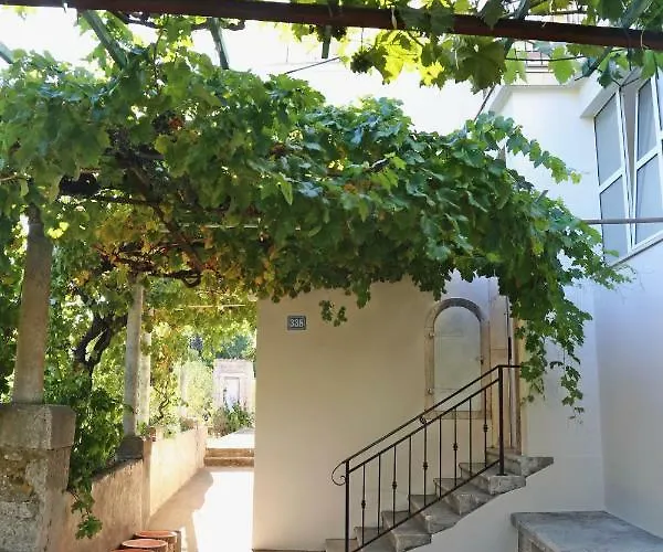 Nasa Beautiful Hause For Vecation